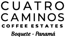 Cuatro Caminos